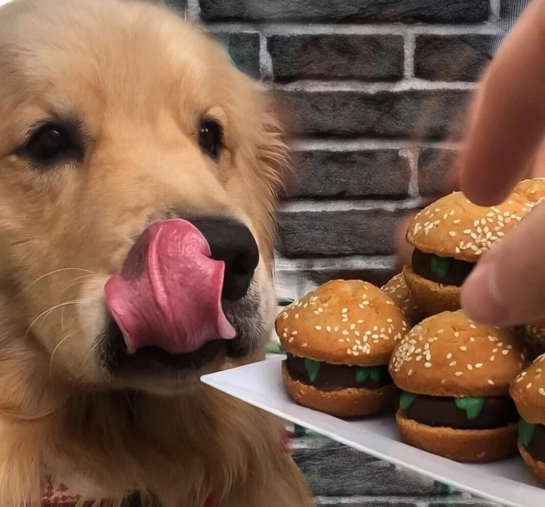 Animal Slider - Image 4