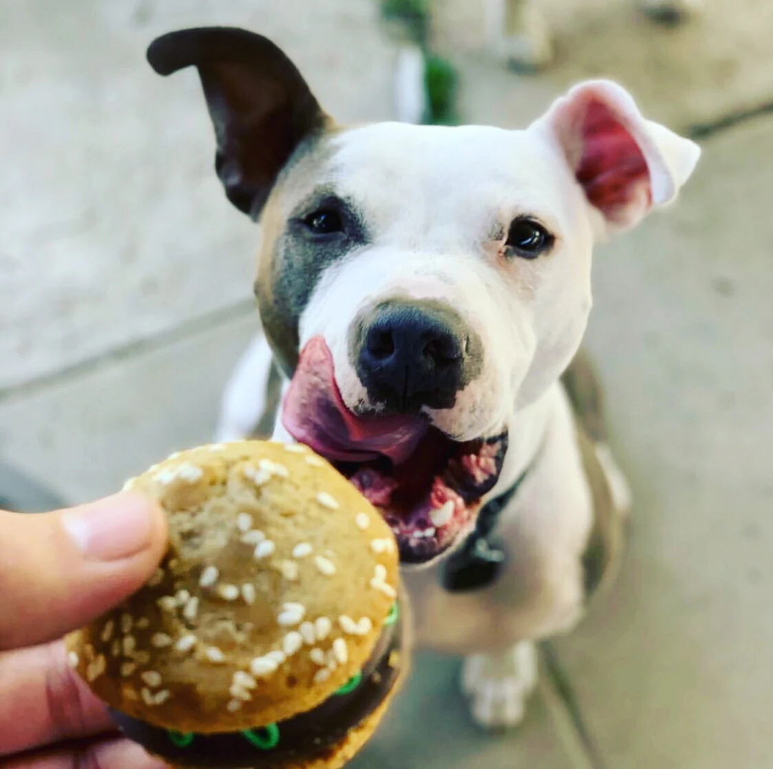Animal Slider - Image 5