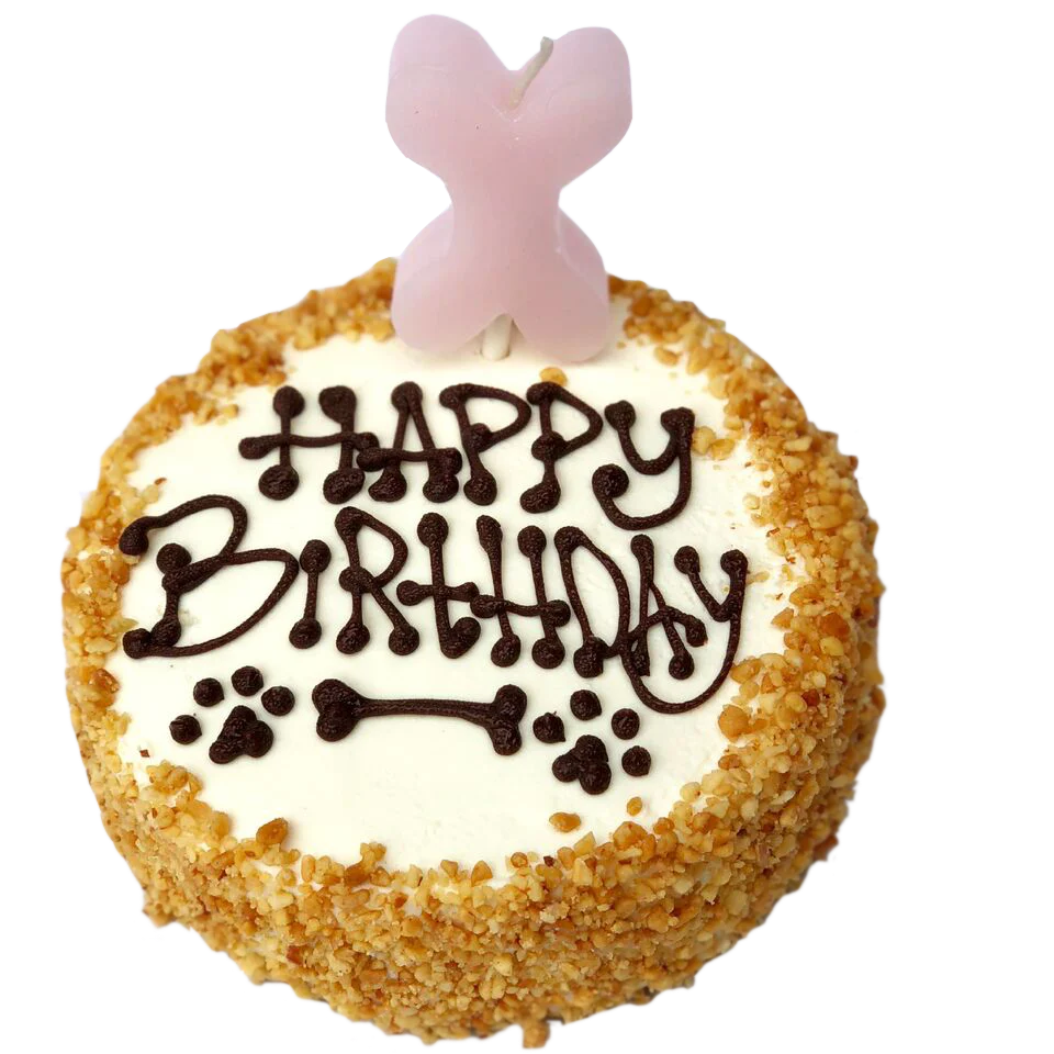 Birthday Candle On A Stick - Image 3