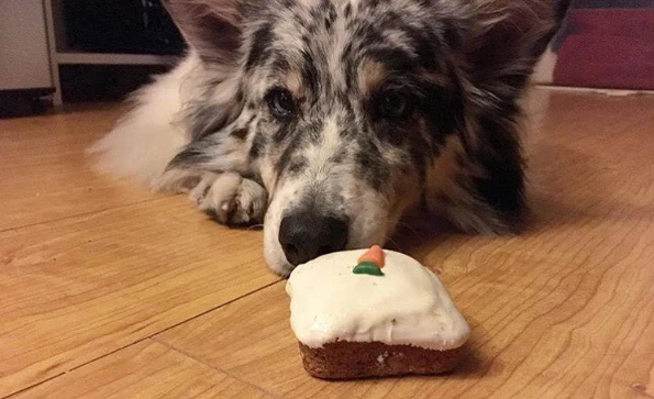Carrot Cake - Image 5