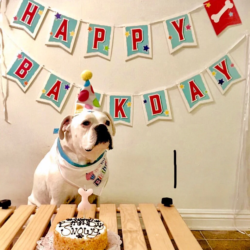 Dog Birthday Banner - Image 4