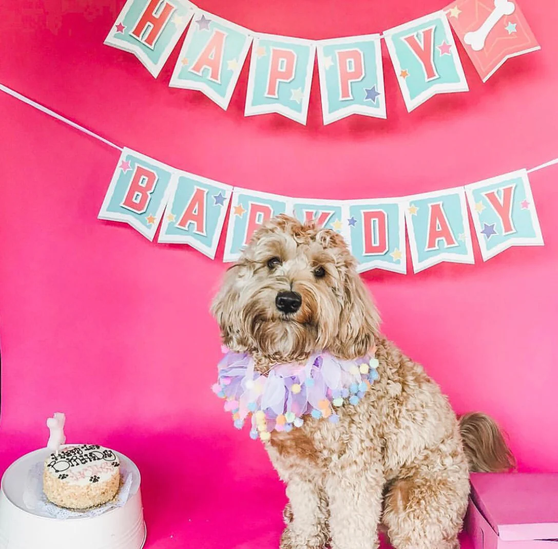 Dog Birthday Banner - Image 5