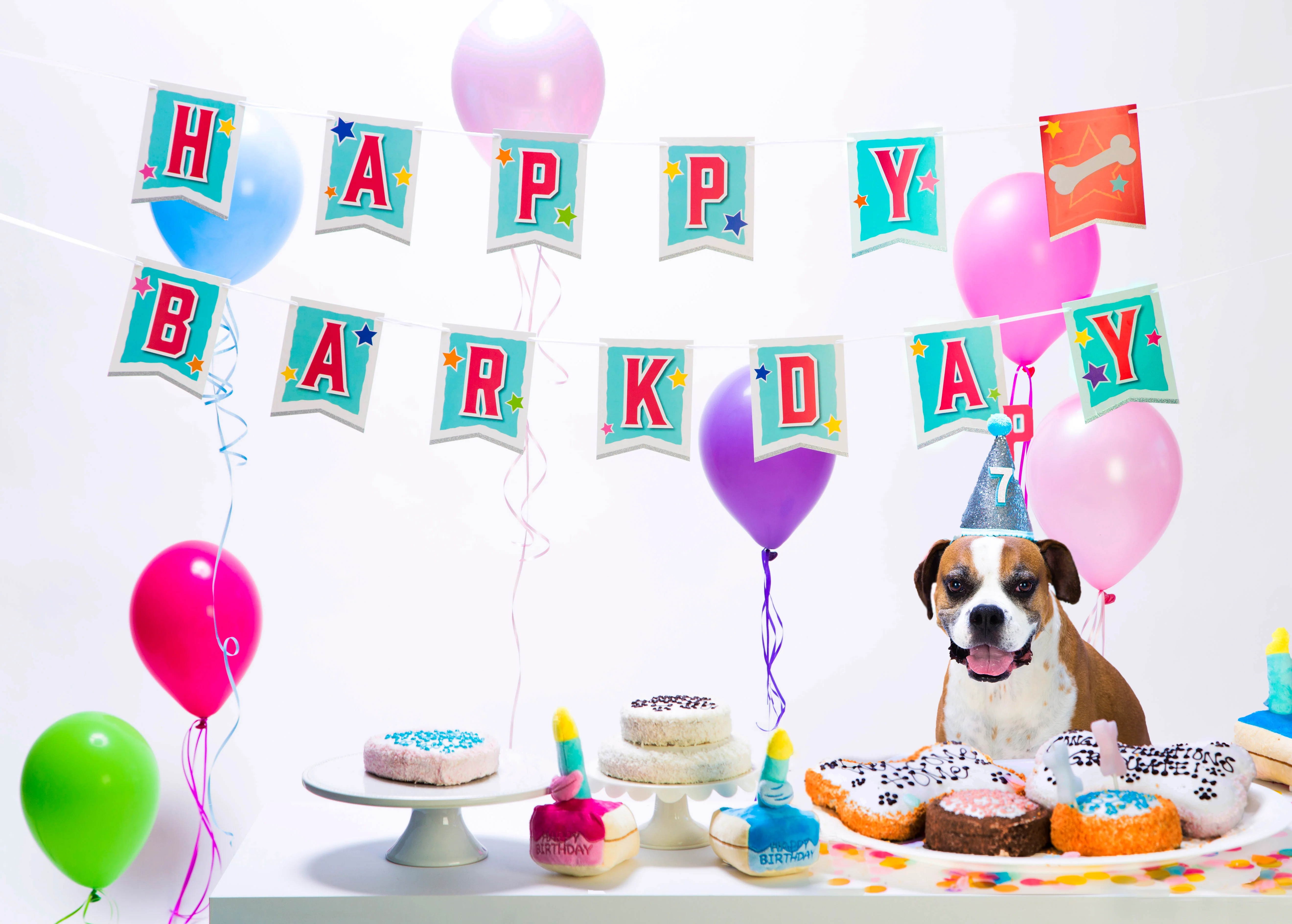 Dog Birthday Banner - Image 6