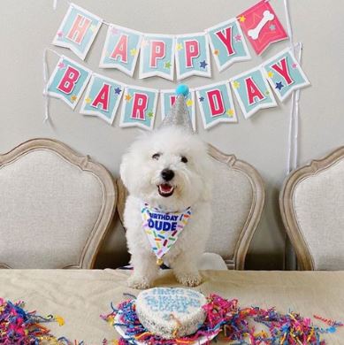 Dog Birthday Banner - Image 7