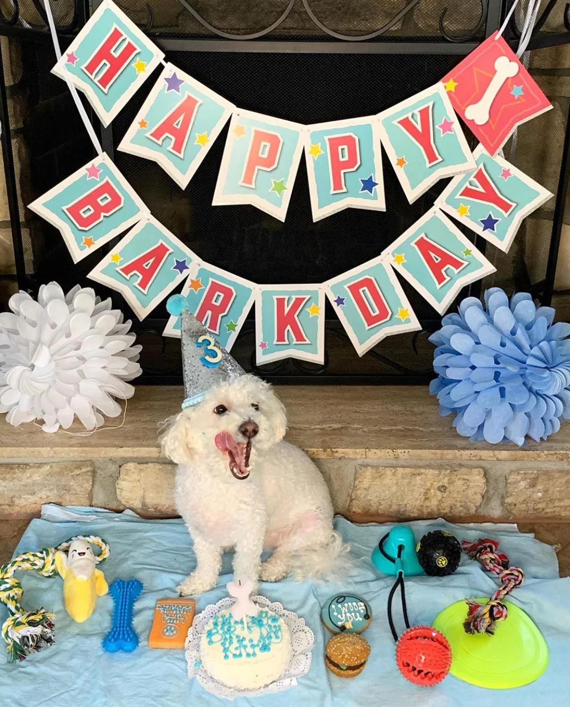 Dog Birthday Banner - Image 8